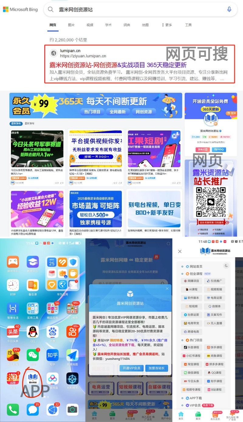 图片[2]-如果你还在找项目？不要再当韭菜了，我做网站一月10万，知识付费才是网创终点！-露米网创资源站